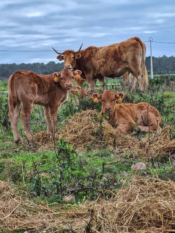 Herdade Da Vagem Rogil Extérieur photo